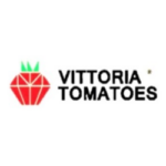 Vittoria-Tomatoes
