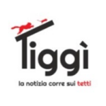tiggi